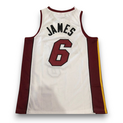 Miami Heat, LeBron James, Championship Hardwood Classics Special